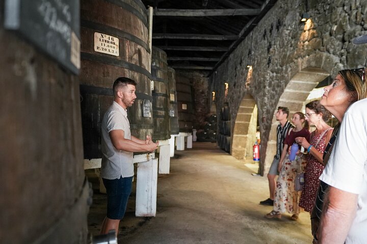 Portwijn Tour | 3 Producenten | 7 Proeverijen | Max 12 Deelnemers | wizardtrip
