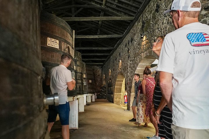 Portwein-Verkostungstour in Porto, Portugal, mit Kellereien und Weingläsern, Foto 15 | wizardtrip