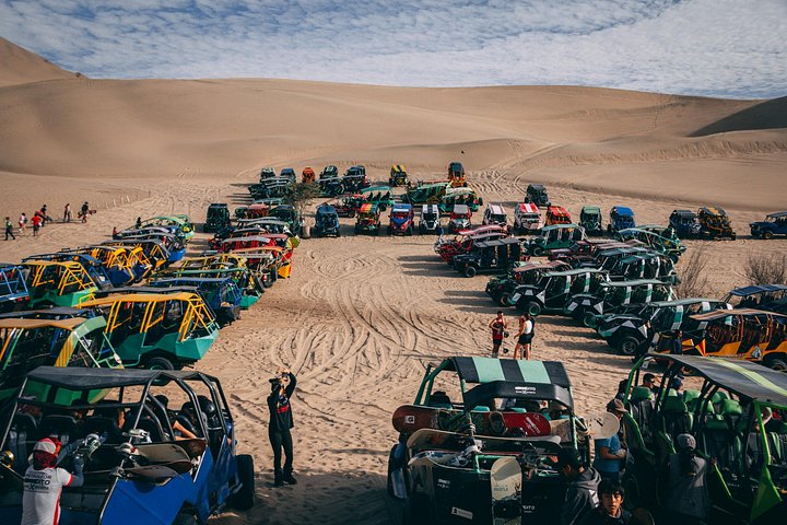 Private luxury tour from Lima to Paracas, Ica, and Huacachina, featuring wildlife, desert adventures, and a sunset picnic, photo 6 | wizardtrip