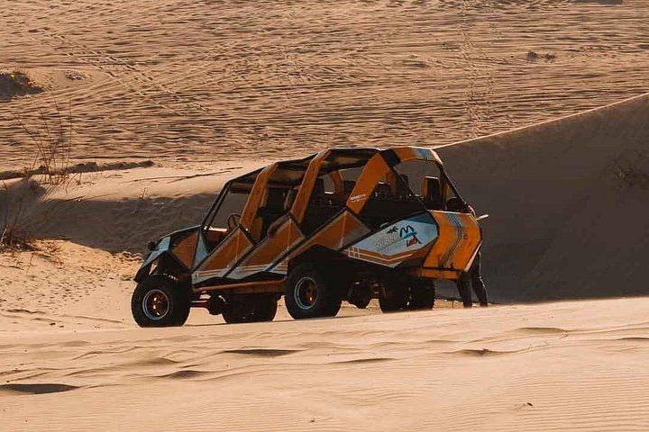 Private luxury tour from Lima to Paracas, Ica, and Huacachina, featuring wildlife, desert adventures, and a sunset picnic, photo 7 | wizardtrip