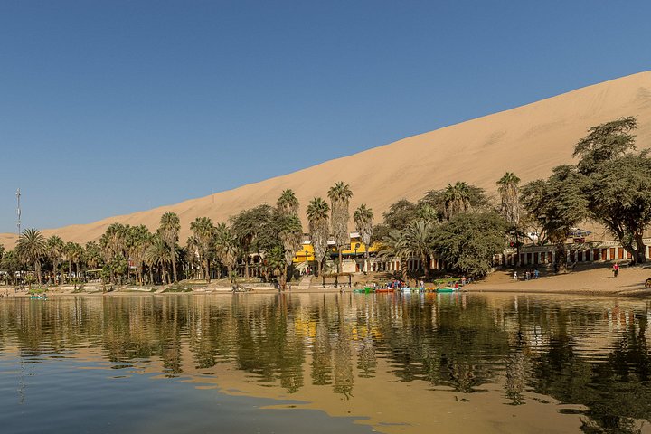Private luxury tour from Lima to Paracas, Ica, and Huacachina, featuring wildlife, desert adventures, and a sunset picnic, photo 10 | wizardtrip