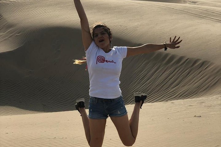 Private luxury tour from Lima to Paracas, Ica, and Huacachina, featuring wildlife, desert adventures, and a sunset picnic, photo 18 | wizardtrip