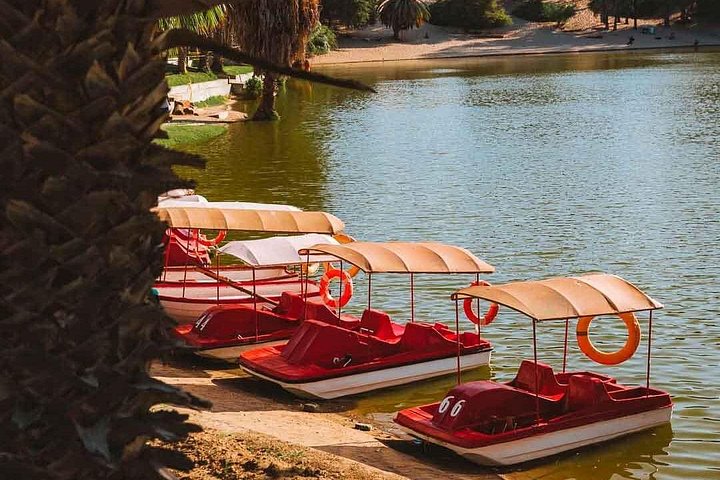 Private luxury tour from Lima to Paracas, Ica, and Huacachina, featuring wildlife, desert adventures, and a sunset picnic, photo 24 | wizardtrip