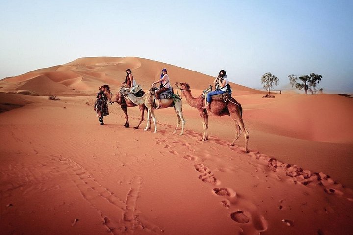Découvrez un safari privé dans le désert de Dubaï avec dune bashing, sandboard, dîner BBQ et spectacles culturels, photo 9 | wizardtrip
