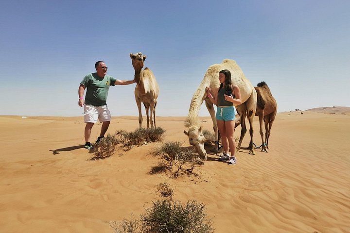 Découvrez un safari privé dans le désert de Dubaï avec dune bashing, sandboard, dîner BBQ et spectacles culturels, photo 18 | wizardtrip
