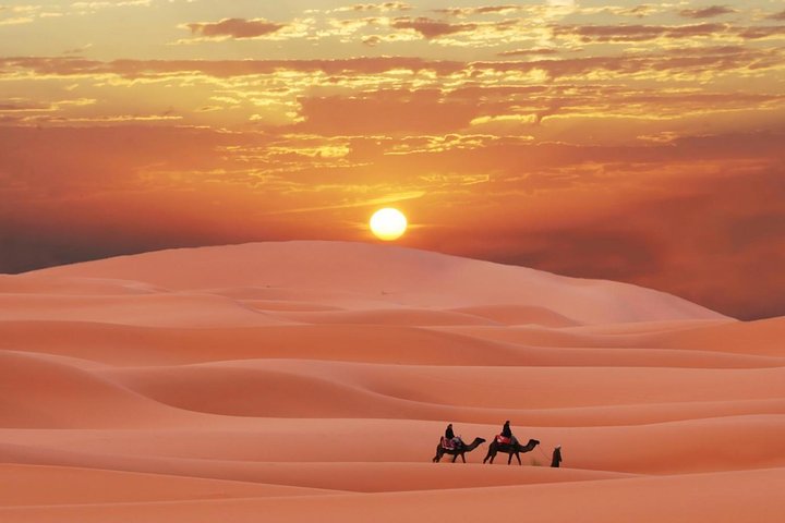 Experience a thrilling morning desert safari in Dubai with dune bashing, sandboarding, and camel rides, photo 8 | wizardtrip