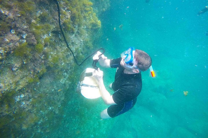 Multi-Abenteuer-Tour auf Mallorca: Kajakfahren, Erkundung von Meereshöhlen, Klippenspringen und Schnorcheln, Foto 19 | wizardtrip