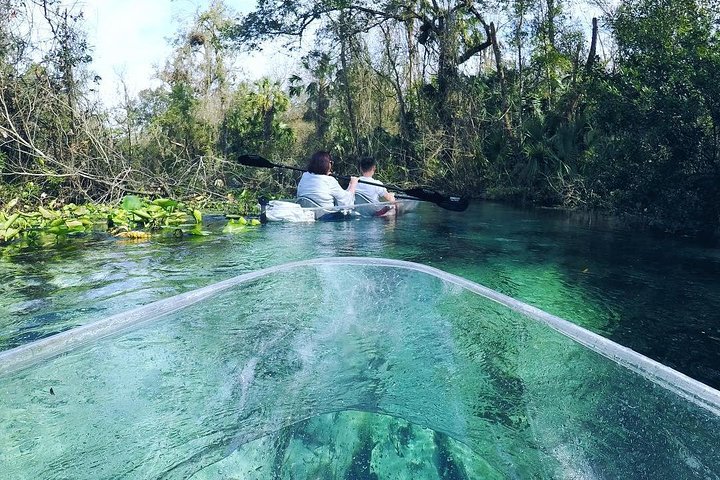 Guidet øko-kajaktur med glasbund i de klare vande i Rock Springs, Florida, foto 6 | wizardtrip