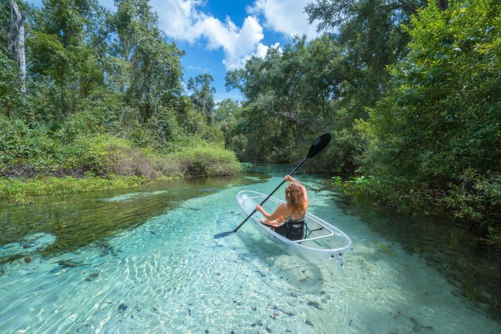 Guidet øko-kajaktur med glasbund i de klare vande i Rock Springs, Florida, foto 7 | wizardtrip