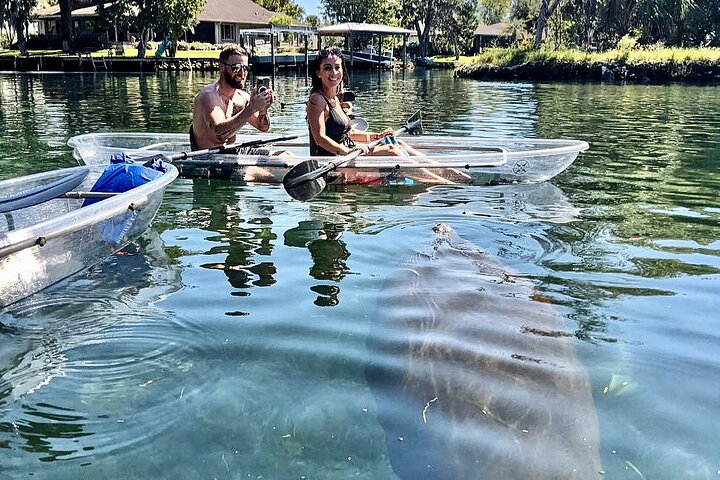 Klar kajakktur i Crystal River, Florida, som utforsker kilder og observerer manater, foto 7 | wizardtrip