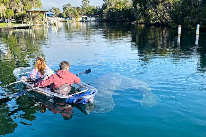 Klar kajakktur i Crystal River, Florida, som utforsker kilder og observerer manater, foto 10 | wizardtrip