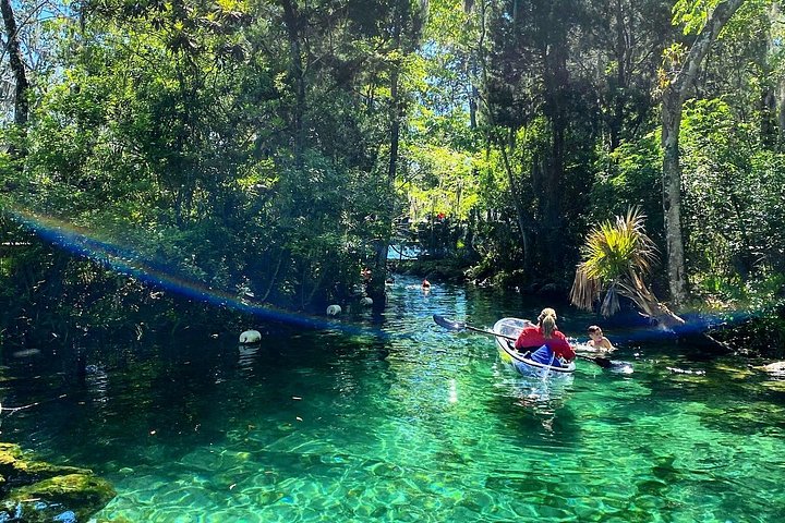 Klar kajakktur i Crystal River, Florida, som utforsker kilder og observerer manater, foto 22 | wizardtrip