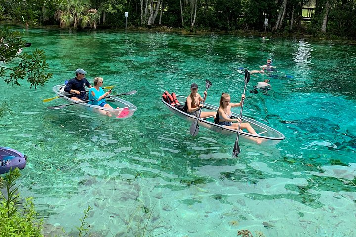 Klar kajakktur i Crystal River, Florida, som utforsker kilder og observerer manater, foto 23 | wizardtrip