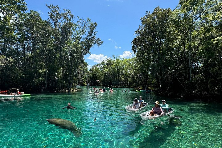 Klar kajakktur i Crystal River, Florida, som utforsker kilder og observerer manater, foto 26 | wizardtrip