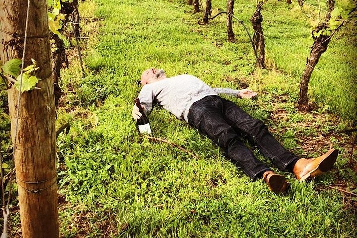 Naturskøn vinrundvisning gennem Tamar Valley, Tasmanien, med besøg på vingårde og vinsmagning, foto 6 | wizardtrip