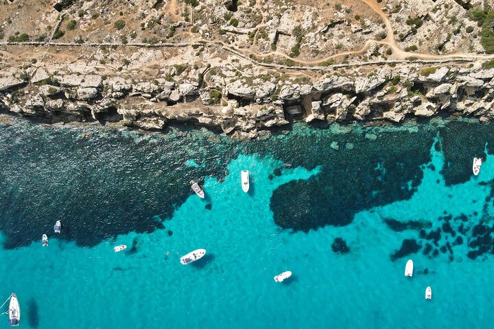 Båttur som utforskar Egadiska öarna Favignana och Levanzo från Trapani, Sicilien, foto 9 | wizardtrip