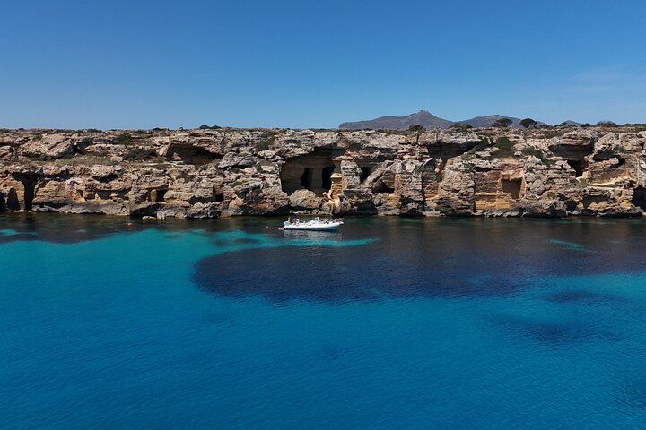 Båttur som utforskar Egadiska öarna Favignana och Levanzo från Trapani, Sicilien, foto 11 | wizardtrip