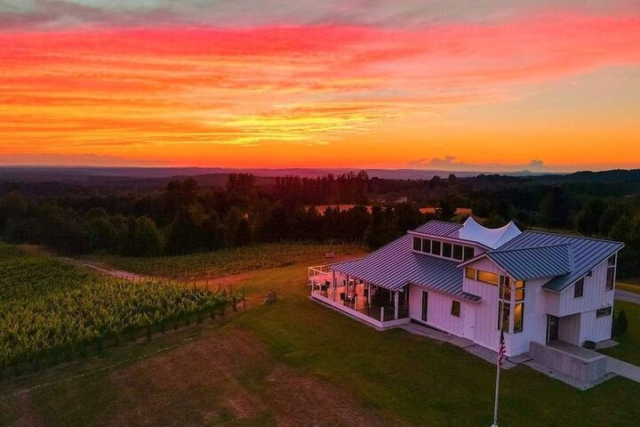 5-timers Traverse City Vinomgang: 3 vingårder på Leelanau-halvøya | wizardtrip