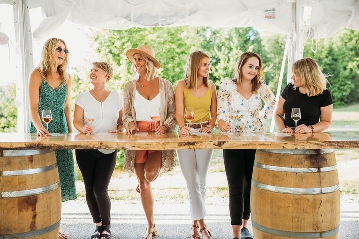 Tour panoramico del vino attraverso le cantine della penisola di Leelanau vicino a Traverse City, Michigan, foto 7 | wizardtrip