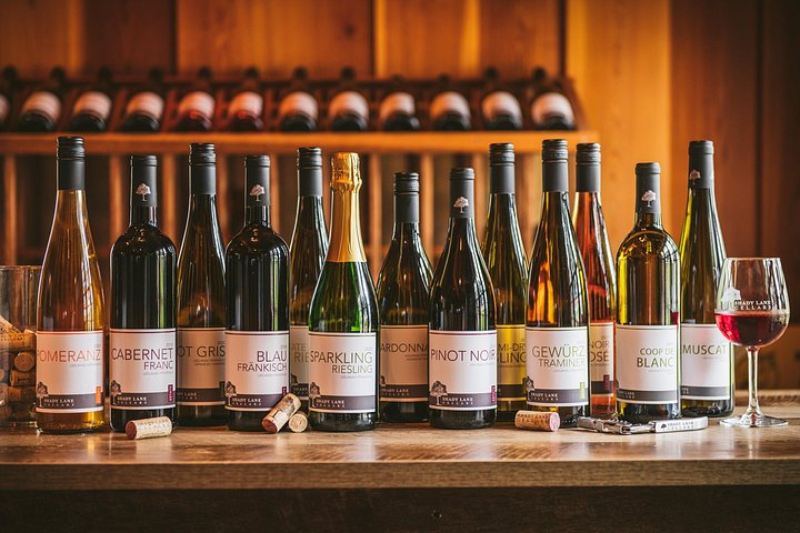 Tour panoramico del vino attraverso le cantine della penisola di Leelanau vicino a Traverse City, Michigan, foto 10 | wizardtrip