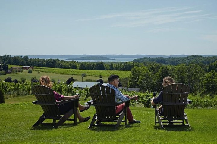 5-timers Traverse City Vinomgang: 4 vingårder på Old Mission Peninsula | wizardtrip