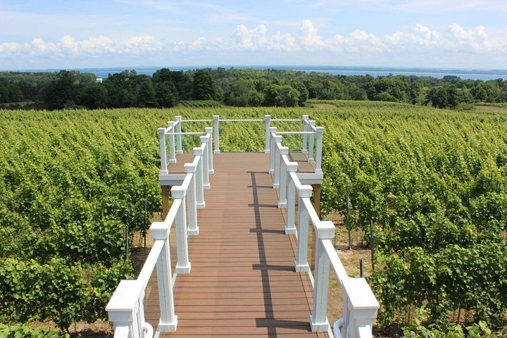 Naturskön vinresa på Old Mission Peninsula, Traverse City, med vingårdar och utsikt över bukten, foto 6 | wizardtrip