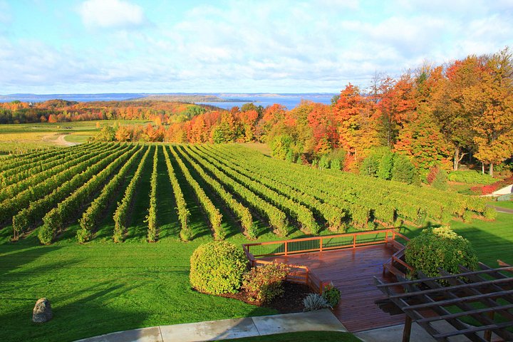 Naturskön vinresa på Old Mission Peninsula, Traverse City, med vingårdar och utsikt över bukten, foto 8 | wizardtrip