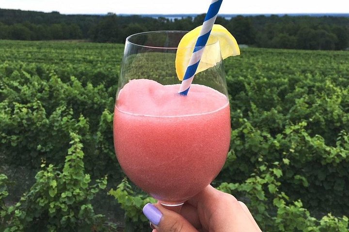 Naturskön vinresa på Old Mission Peninsula, Traverse City, med vingårdar och utsikt över bukten, foto 11 | wizardtrip