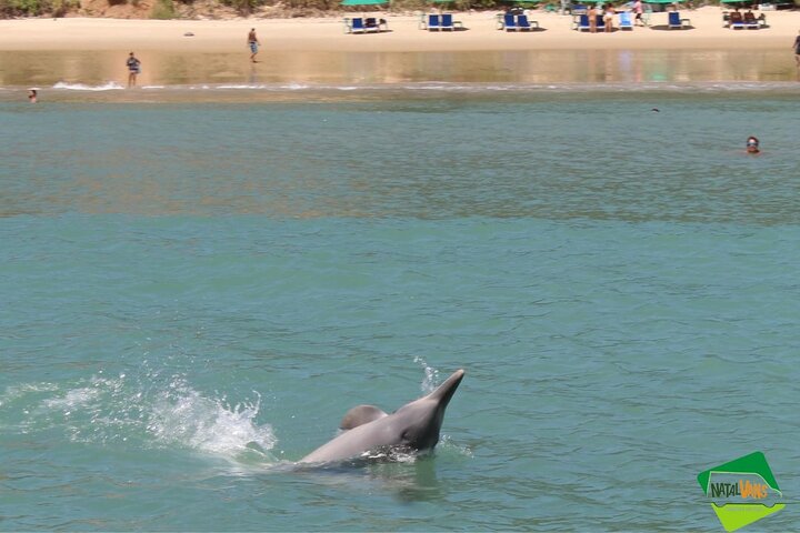 Ganztägige Tour zum Pipa Beach von Natal, Brasilien, mit atemberaubender Küstenlandschaft und Strandaktivitäten, Foto 7 | wizardtrip