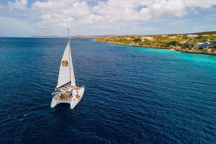 Passeio de catamarã e snorkeling em Bonaire com jantar de churrasco a bordo, foto 10 | wizardtrip