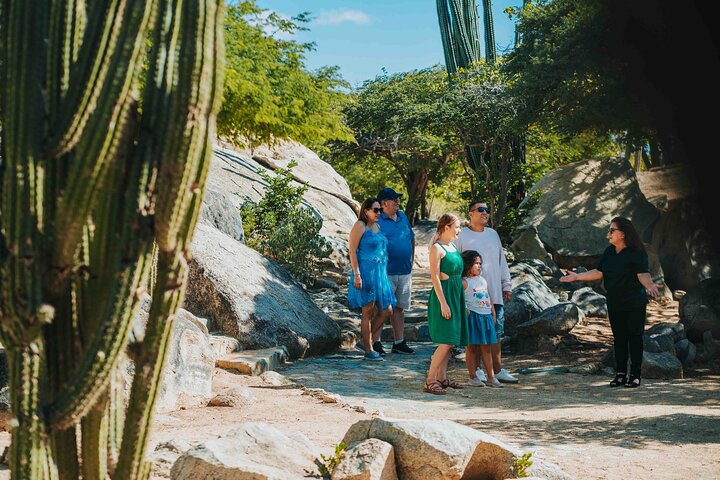Tour dell'isola di Aruba con Faro di California, formazioni rocciose e Aloe Vera Factory, foto 7 | wizardtrip