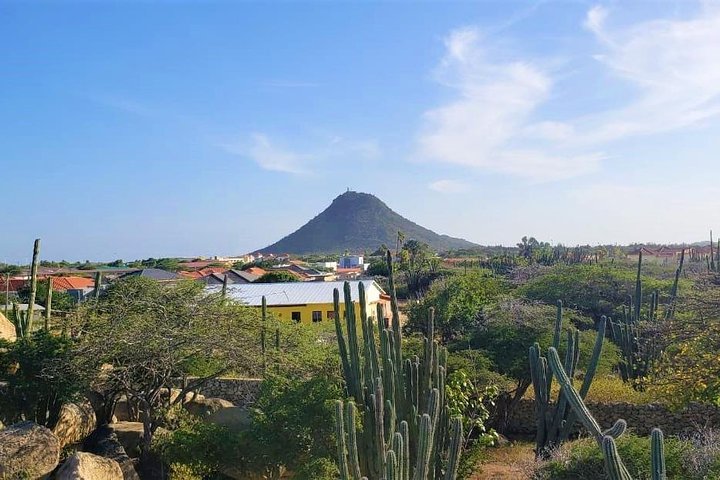 Tour dell'isola di Aruba con Faro di California, formazioni rocciose e Aloe Vera Factory, foto 11 | wizardtrip