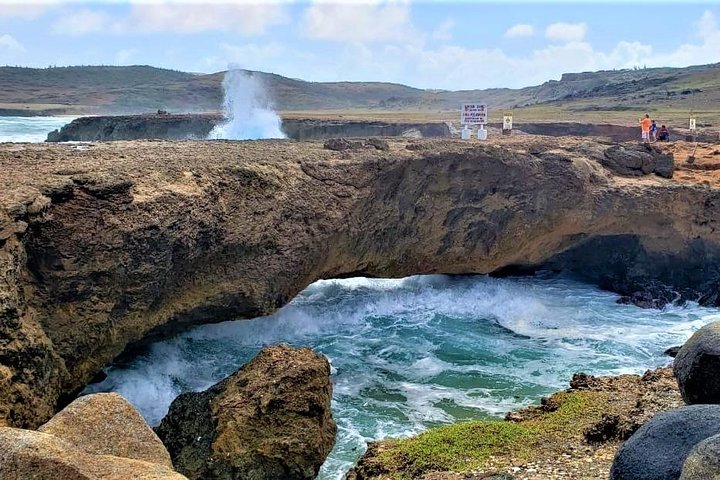 Tour dell'isola di Aruba con Faro di California, formazioni rocciose e Aloe Vera Factory, foto 12 | wizardtrip