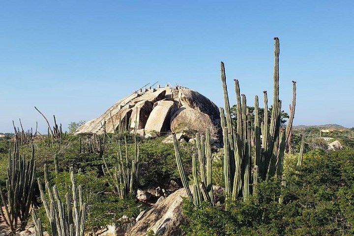 Tour dell'isola di Aruba con Faro di California, formazioni rocciose e Aloe Vera Factory, foto 13 | wizardtrip