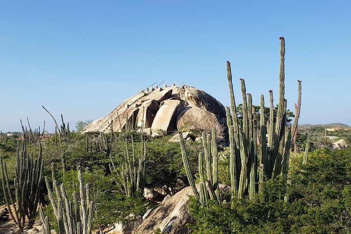 Aruba eilandtour met historische locaties, natuurlijke monumenten en prachtige stranden, foto 11 | wizardtrip
