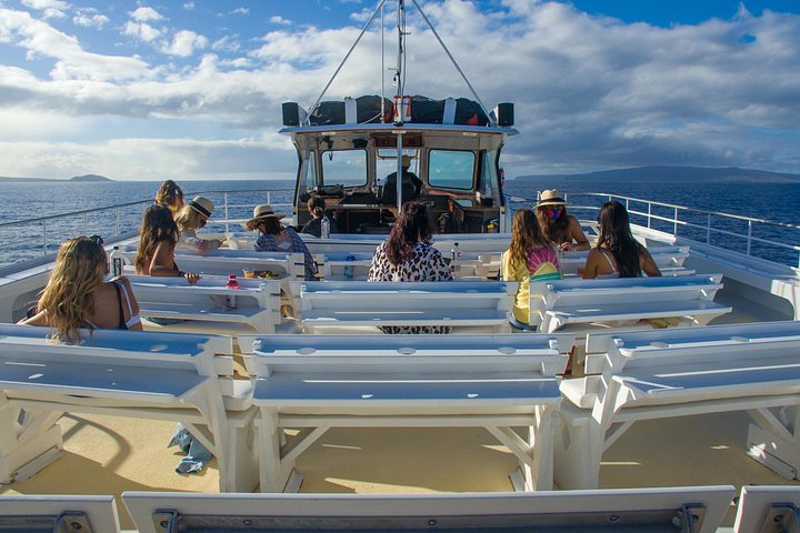 Plongez avec tuba à Maui dans le cratère de Molokini et à Turtle Town à bord du spacieux catamaran Pride of Maui, photo 9 | wizardtrip