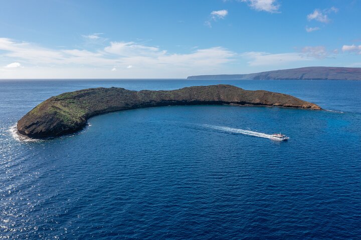Tour de snorkel en yate de lujo en Maui, visitando el Cráter Molokini y nadando con tortugas, foto 11 | wizardtrip