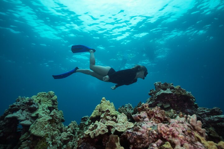 Tour de snorkel en yate de lujo en Maui, visitando el Cráter Molokini y nadando con tortugas, foto 14 | wizardtrip