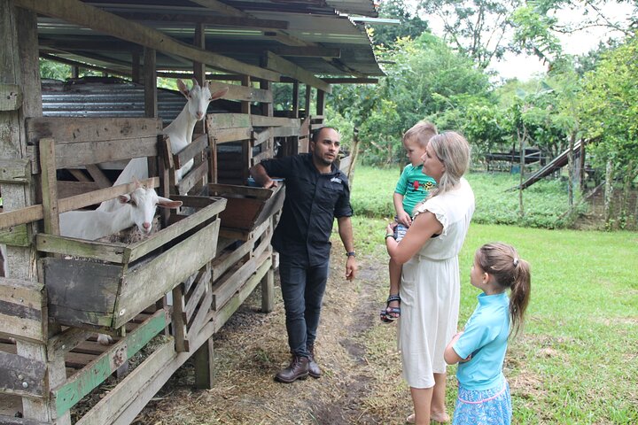 Spennende raftingeventyr på Balsa-elven i La Fortuna, Costa Rica, med dyreliv og vulkanutsikt, foto 11 | wizardtrip