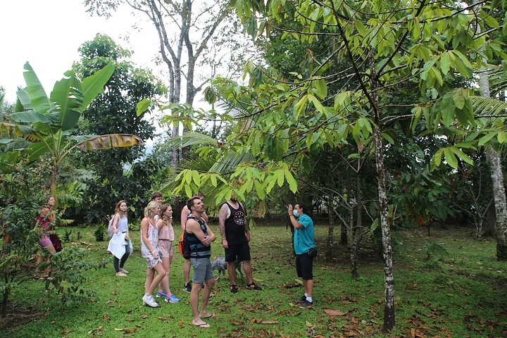Spennende raftingeventyr på Balsa-elven i La Fortuna, Costa Rica, med dyreliv og vulkanutsikt, foto 13 | wizardtrip