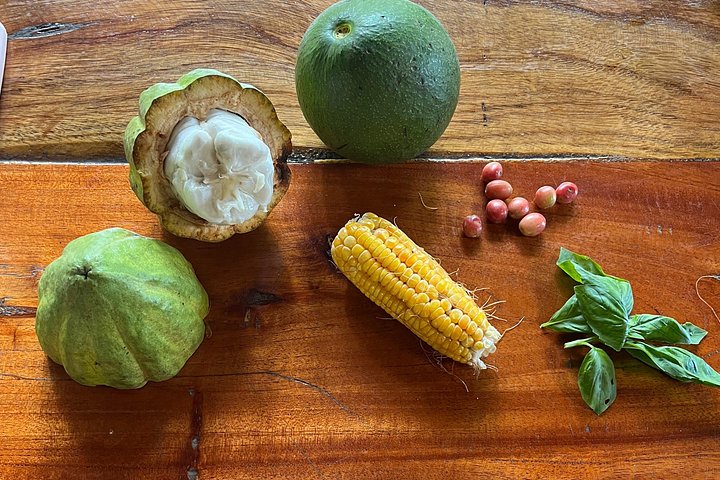 Farm to Table Kochkurs | wizardtrip