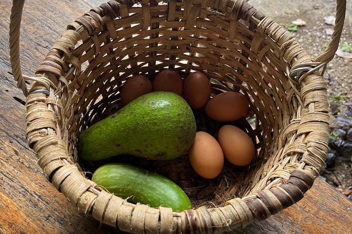 Hands-on farm-to-table cooking class in La Fortuna, Costa Rica, with fresh ingredients and traditional methods, photo 6 | wizardtrip
