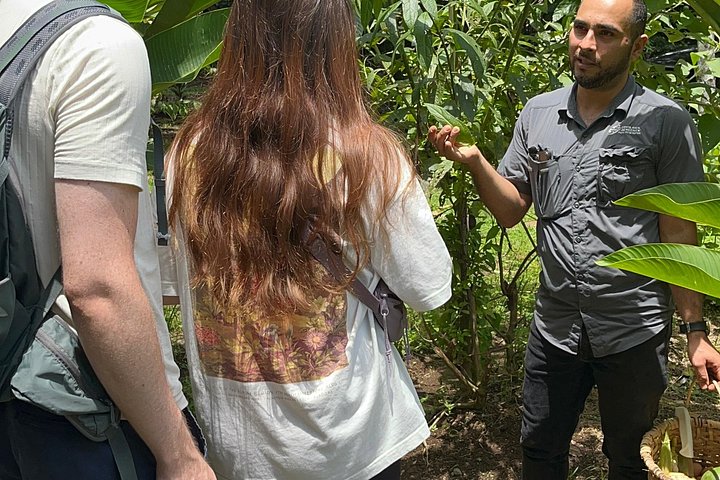Hands-on farm-to-table cooking class in La Fortuna, Costa Rica, with fresh ingredients and traditional methods, photo 15 | wizardtrip
