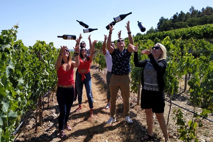Valle del Duero Tour en Grupo Reducido con Almuerzo y Crucero por el Río | wizardtrip