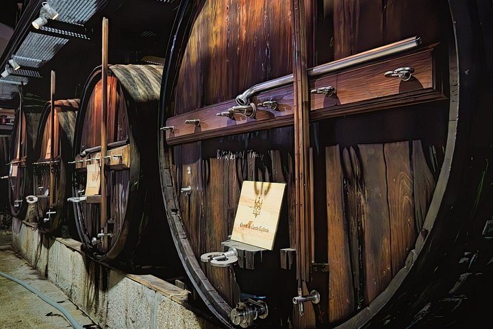 Tur i liten grupp som utforskar Dourodalens vingårdar och vinerier från Porto, foto 9 | wizardtrip