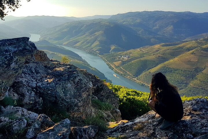 Tur i liten grupp som utforskar Dourodalens vingårdar och vinerier från Porto, foto 10 | wizardtrip