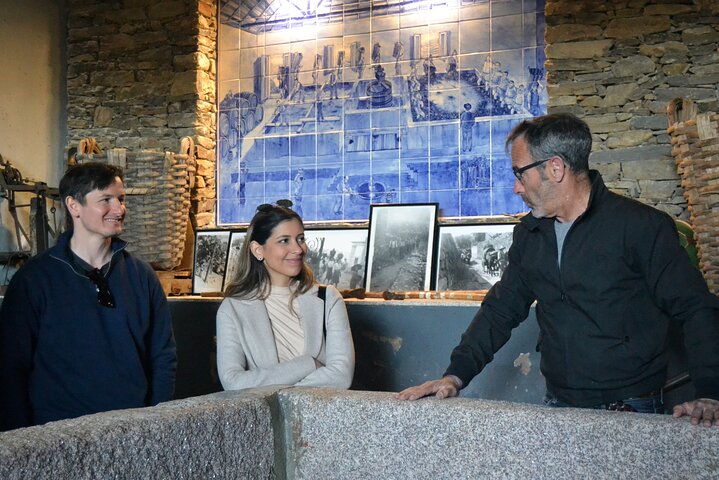 Tur i liten grupp som utforskar Dourodalens vingårdar och vinerier från Porto, foto 11 | wizardtrip