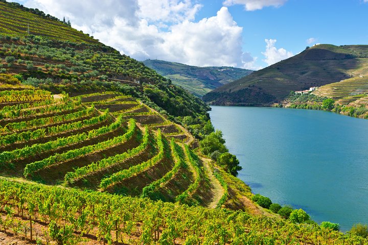 Tur i liten grupp som utforskar Dourodalens vingårdar och vinerier från Porto, foto 12 | wizardtrip