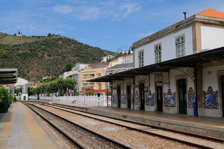 Tur i liten grupp som utforskar Dourodalens vingårdar och vinerier från Porto, foto 14 | wizardtrip