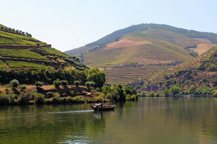 Tur i liten grupp som utforskar Dourodalens vingårdar och vinerier från Porto, foto 16 | wizardtrip